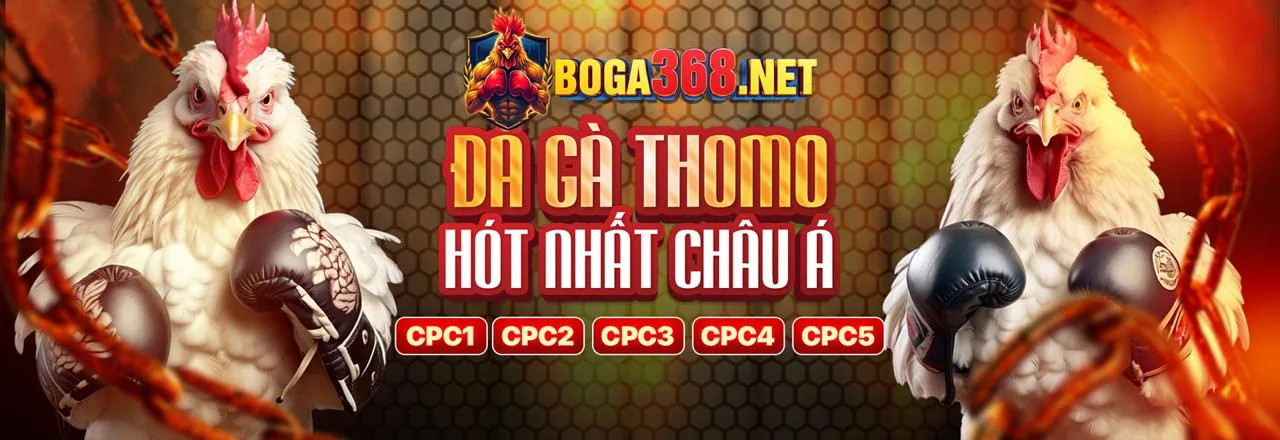 Hình ảnh chính của trang đá gà trực tuyến aa88